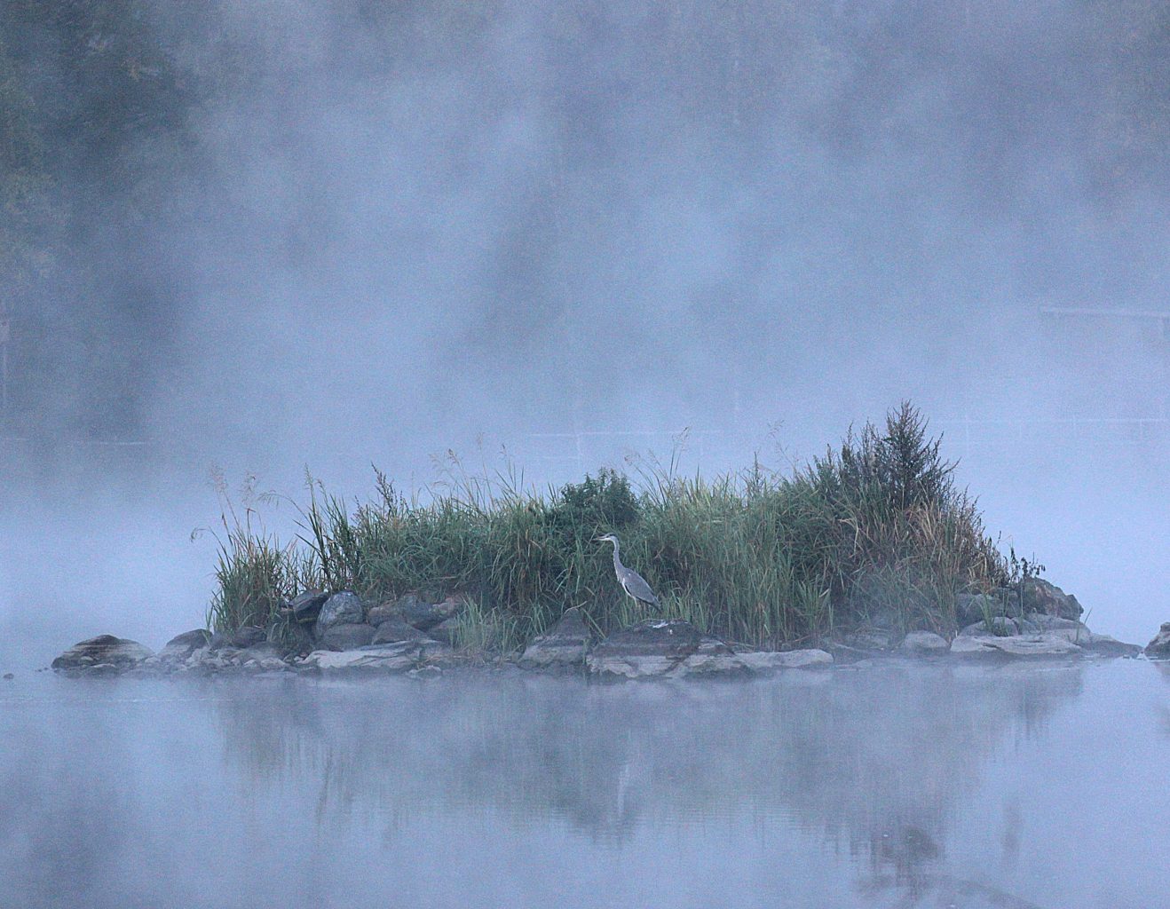 Valokuvaaja: Irja lehtinen