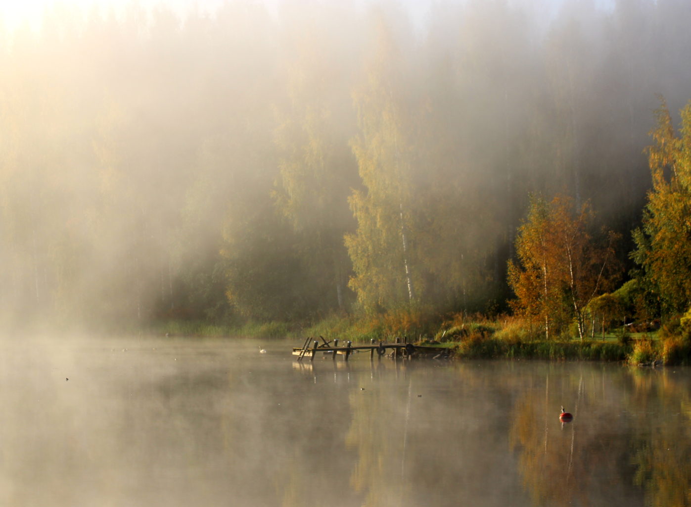 Valokuvaaja: Irja lehtinen