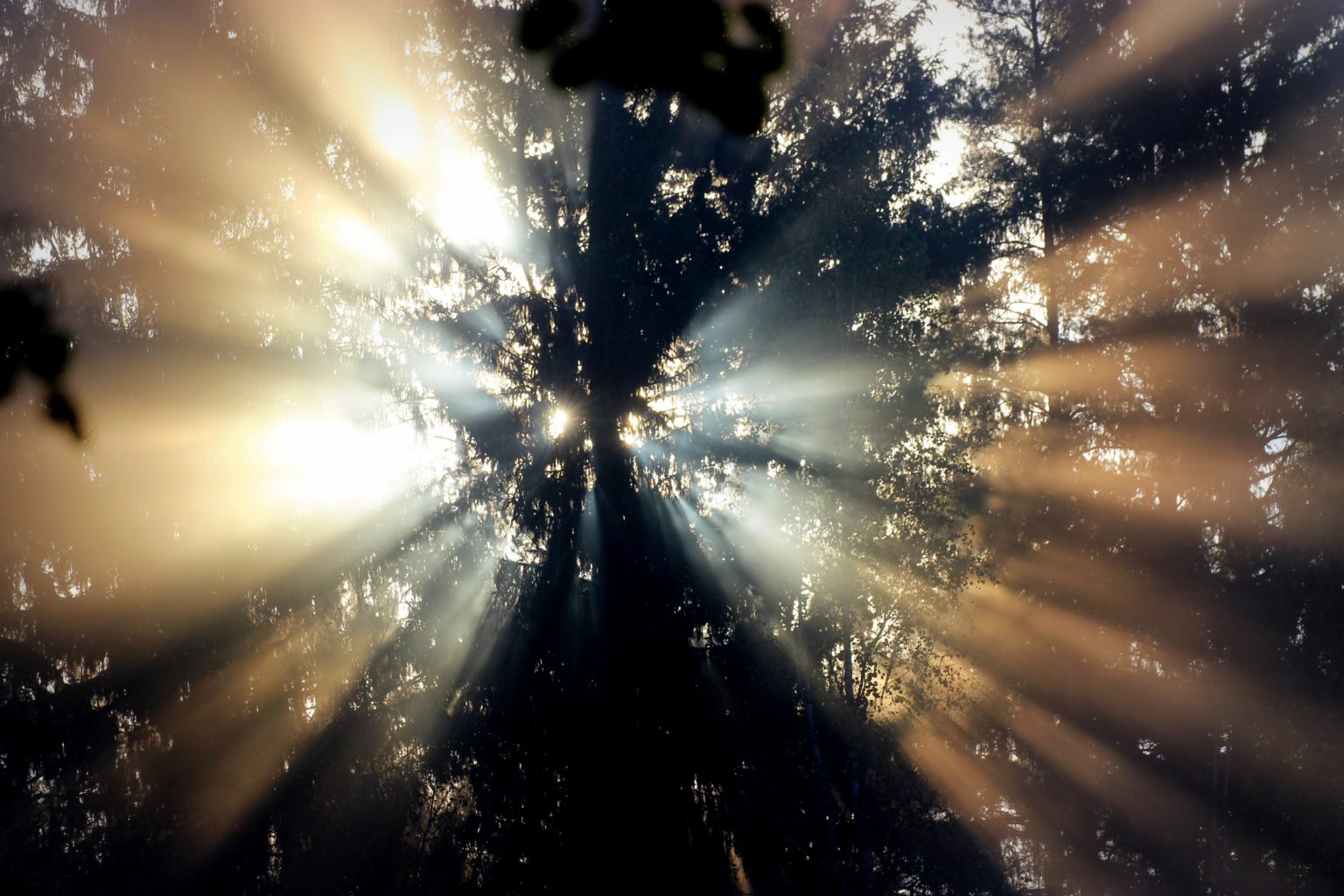 Valokuvaaja: Irja Lehtinen