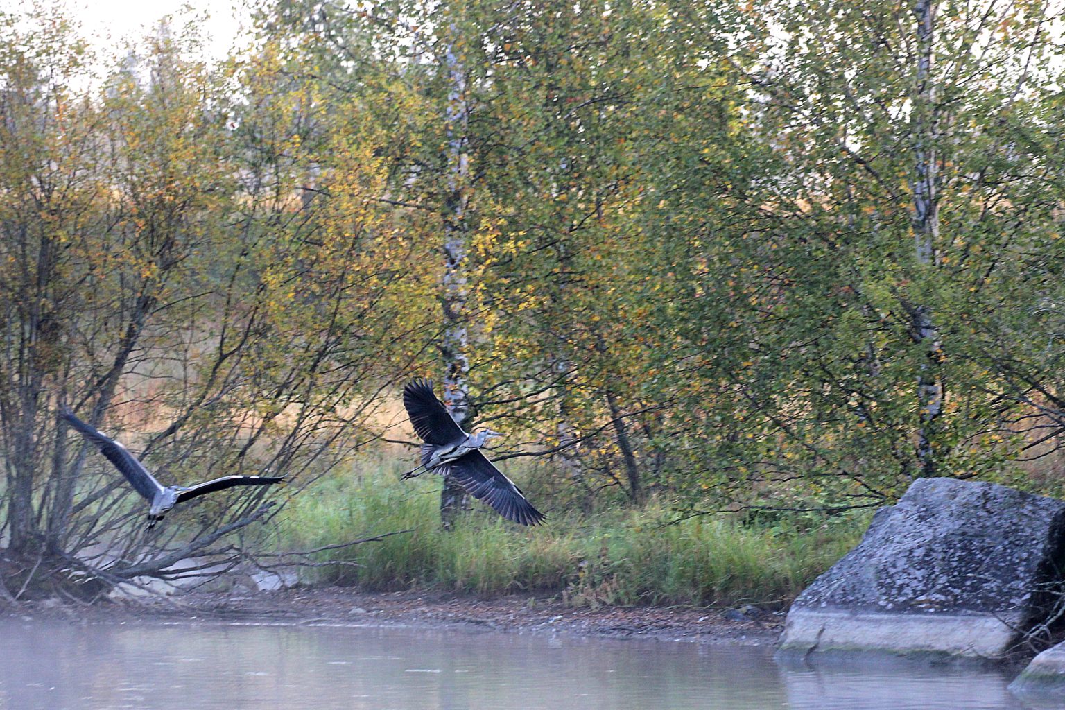 Valokuvaaja: Irja lehtinen