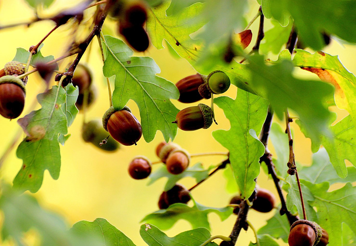 Valokuvaaja: Irja Lehtinen