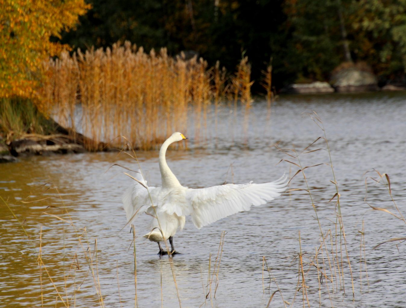Valokuvaaja: Irja Lehtinen