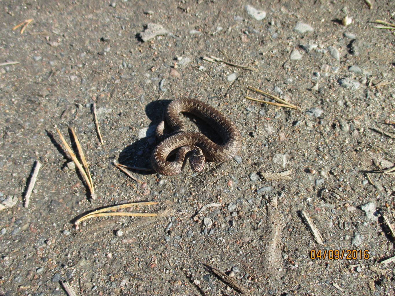 Valokuvaaja: yrjo lukkari