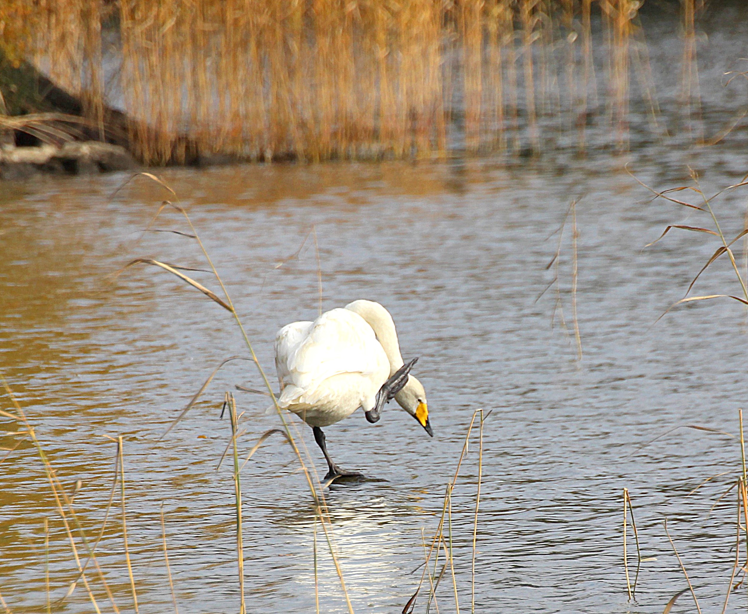 Valokuvaaja: Irja Lehtinen