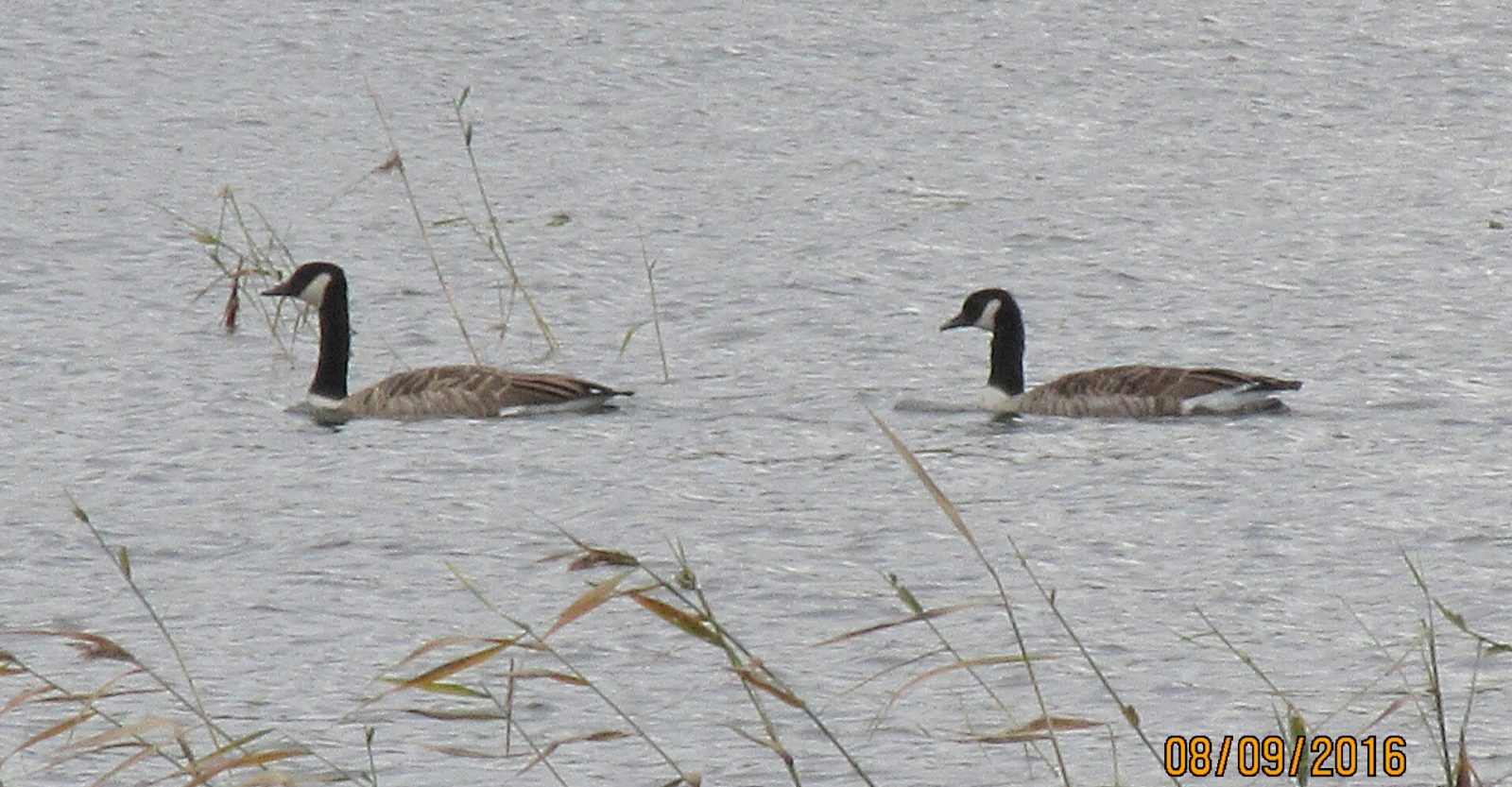 Valokuvaaja: Tuula Makkonen