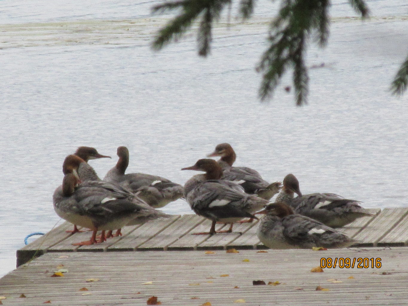 Valokuvaaja: Tuula Makkonen