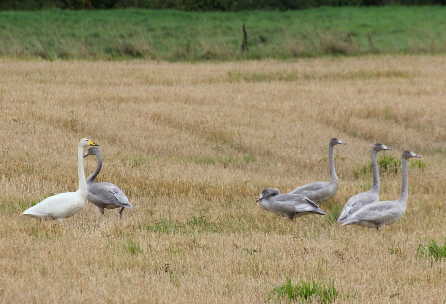 Valokuvaaja: Irja lehtinen