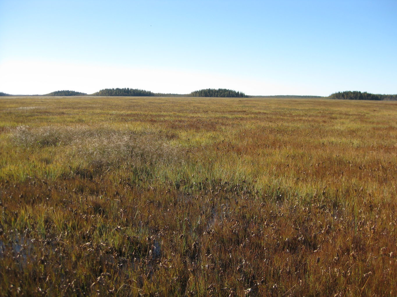Valokuvaaja: yrjo lukkari Valokuvaaja: yrjo lukkari