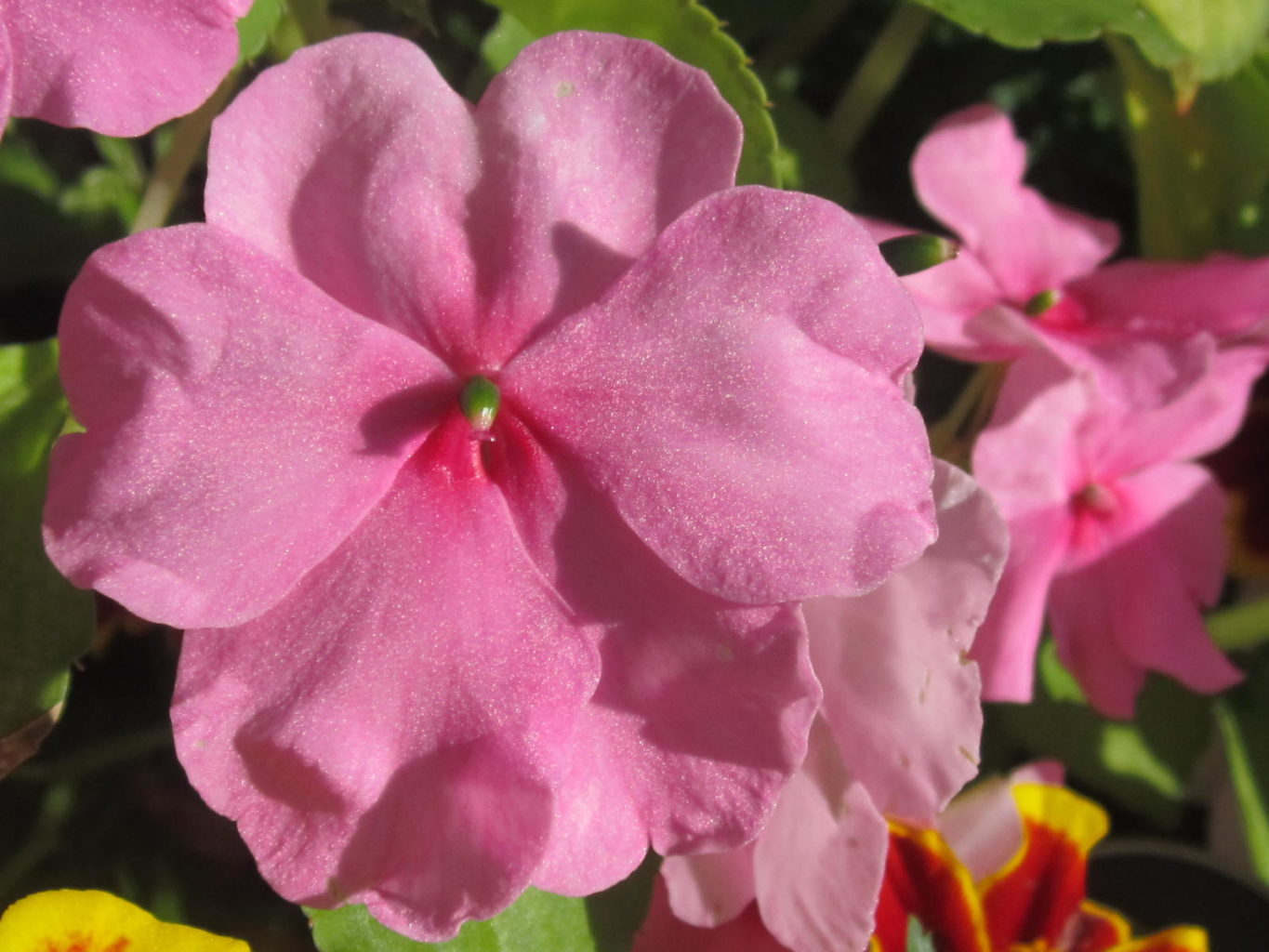 Valokuvaaja: Hannu Rissanen