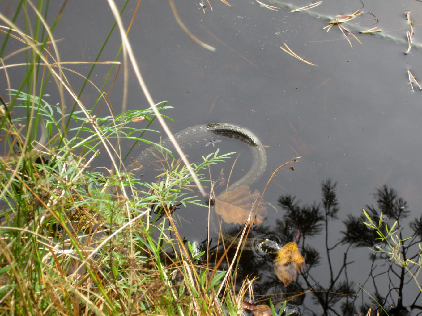 Valokuvaaja: Helena Kauppila