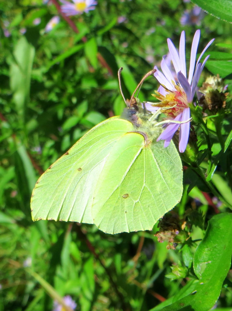 Valokuvaaja: Sirkka Ruotoistenmäki