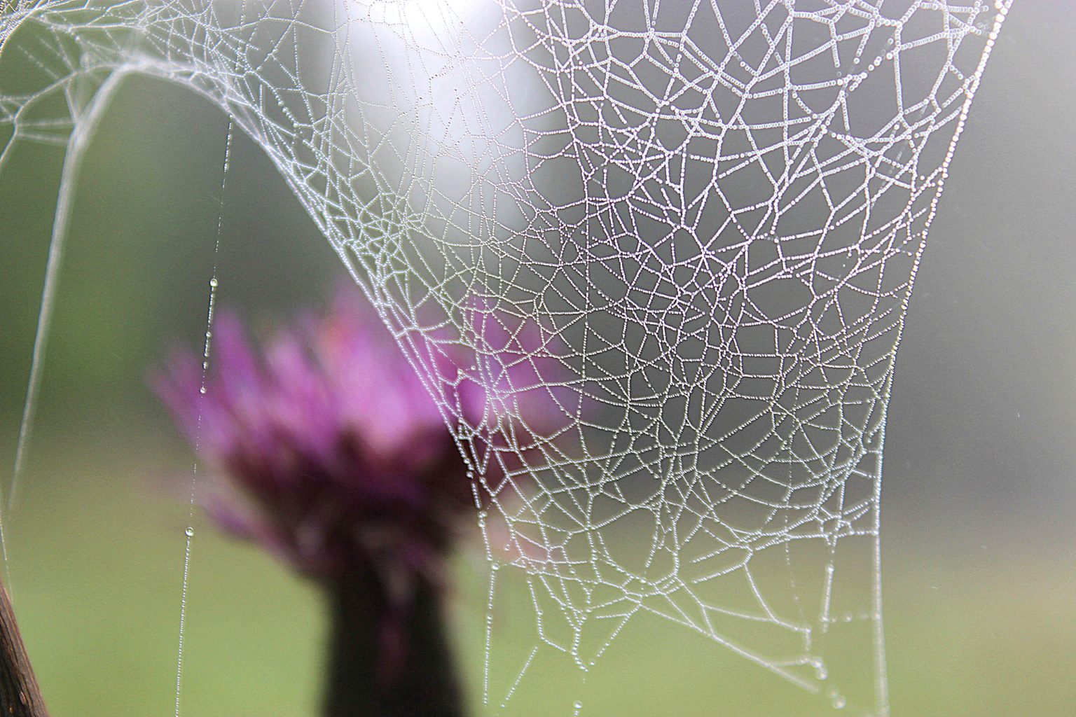 Valokuvaaja: Irja lehtinen