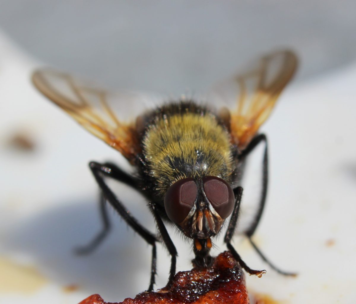 Valokuvaaja: Irja lehtinen