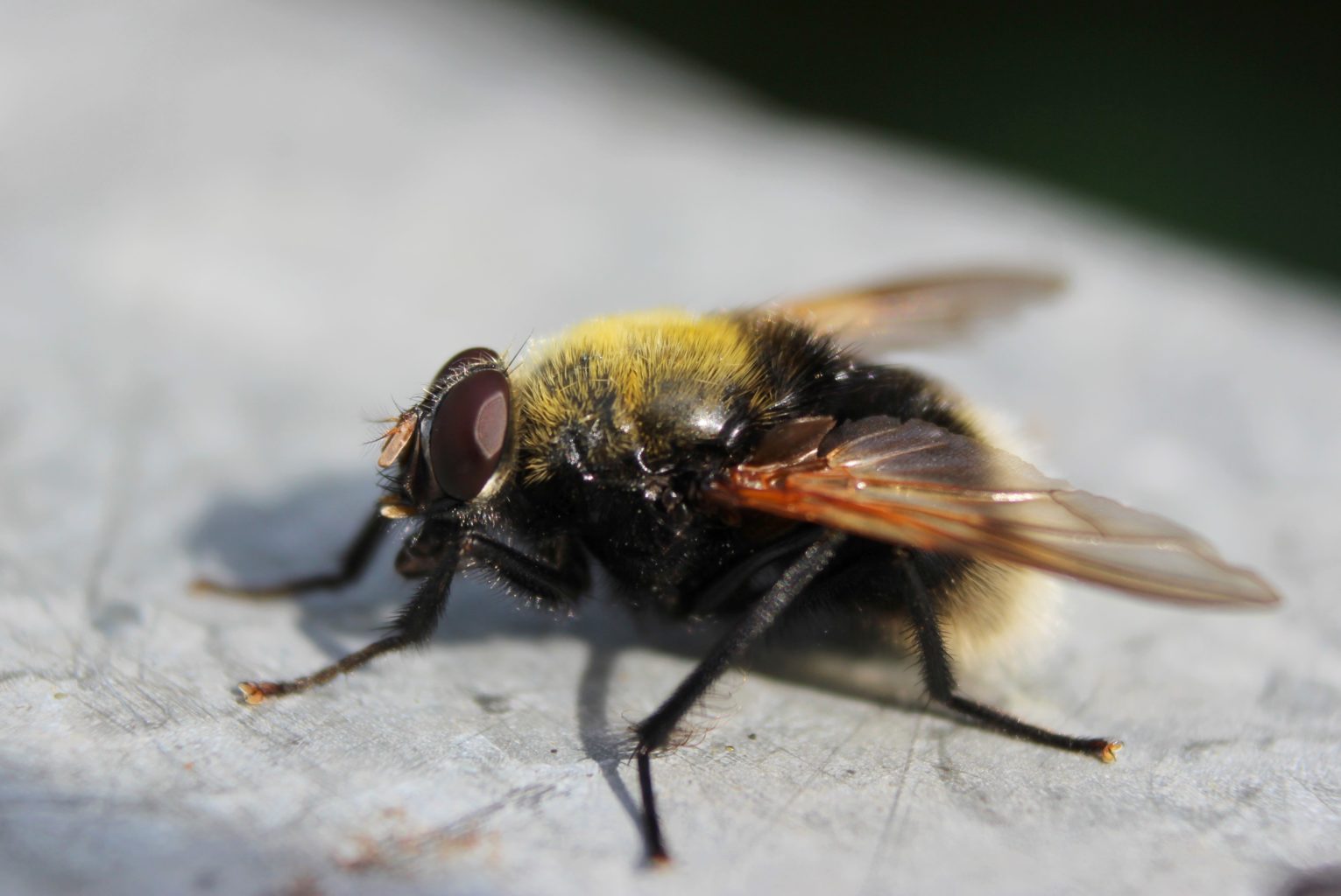 Valokuvaaja: Irja lehtinen