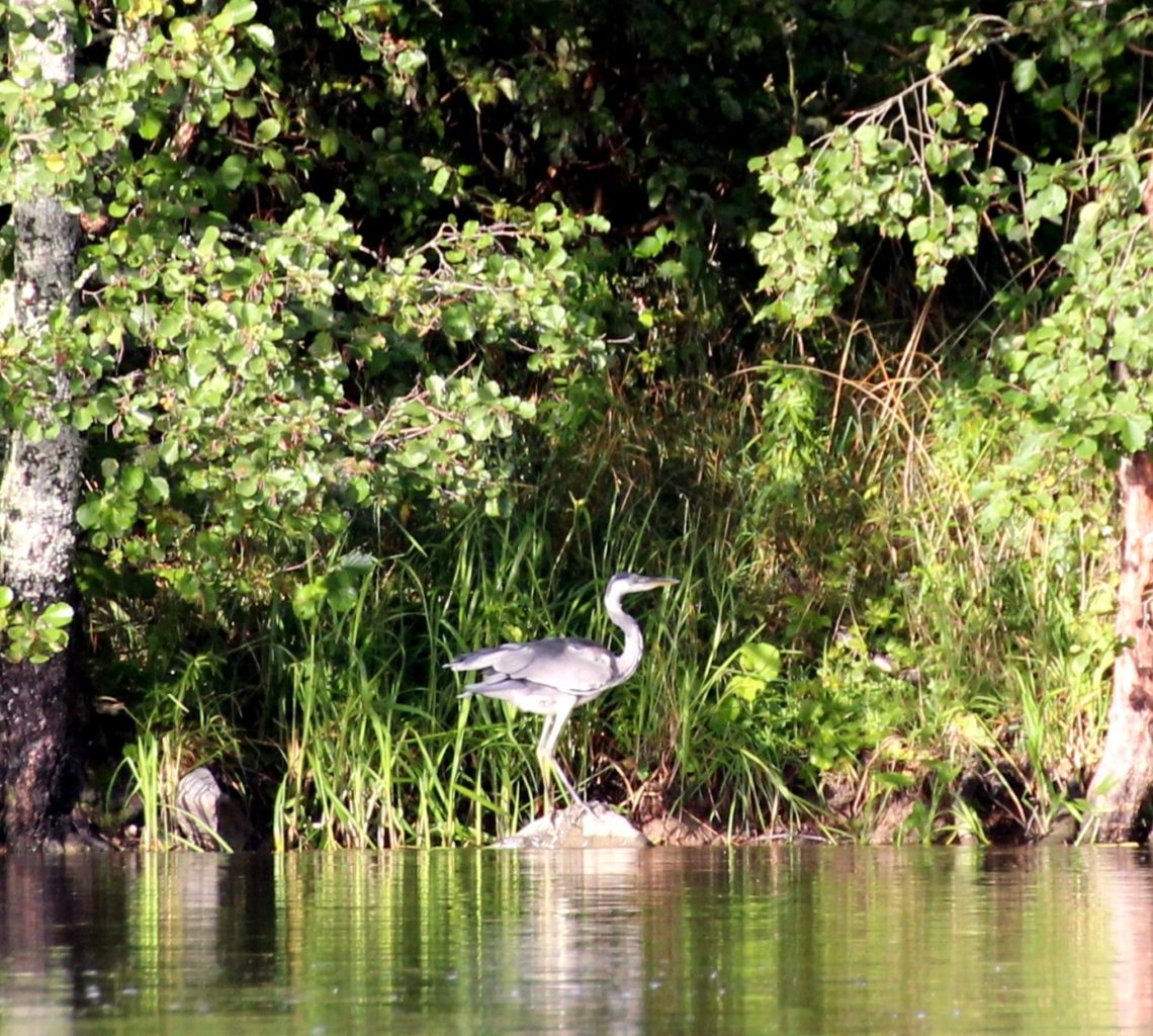 Valokuvaaja: Irja lehtinen