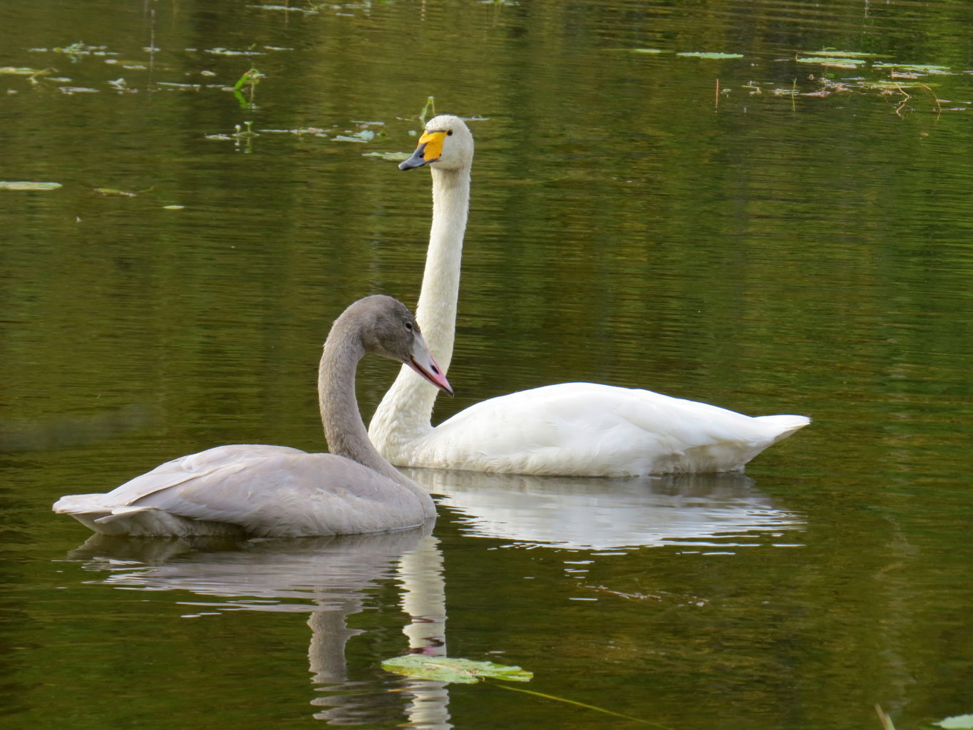 Valokuvaaja: Jaana Talvinen