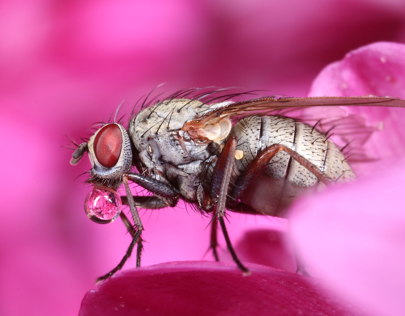 Valokuvaaja: Tarja Porkkala