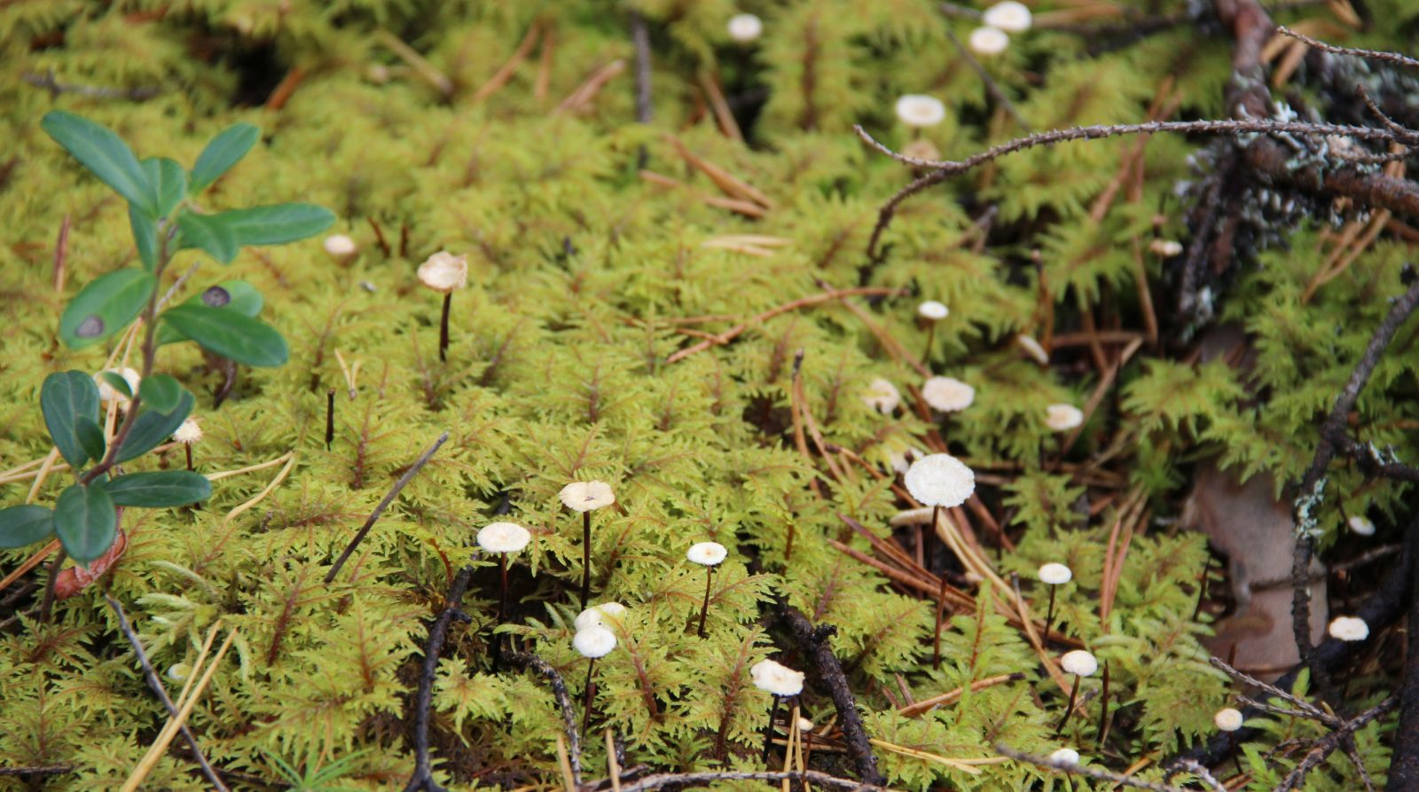 Valokuvaaja: Sinikka Kujala
