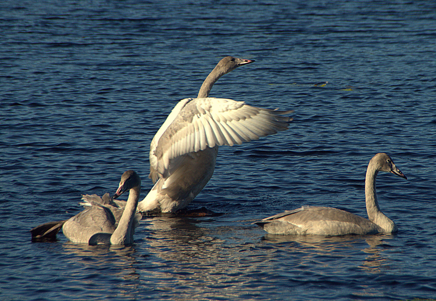Valokuvaaja: Sirpa Jyske