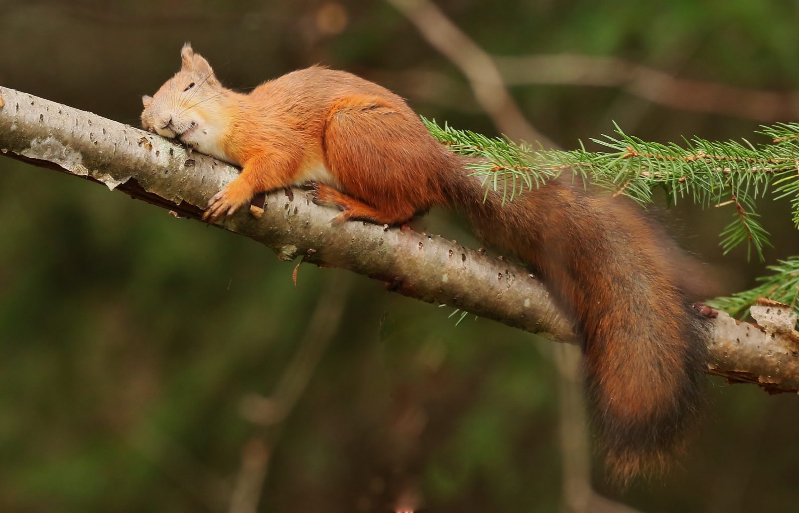 Valokuvaaja: Tuula Pirnes