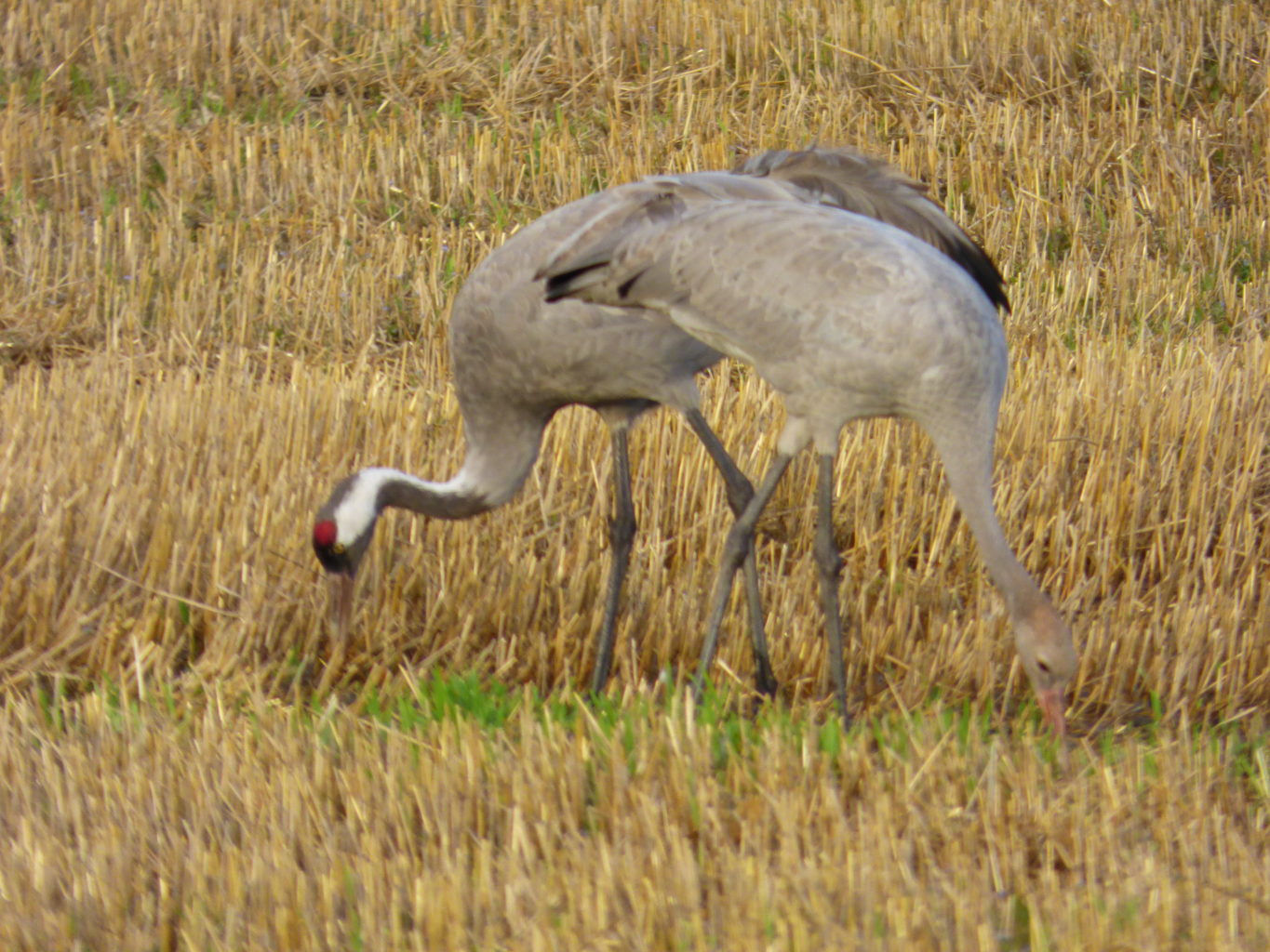 Valokuvaaja: Hannu Rissanen