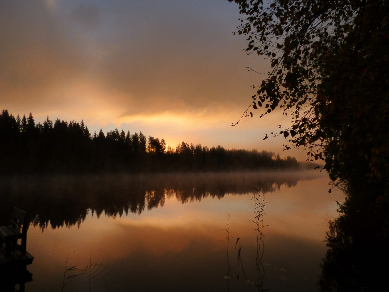Valokuvaaja: Hannu Rissanen