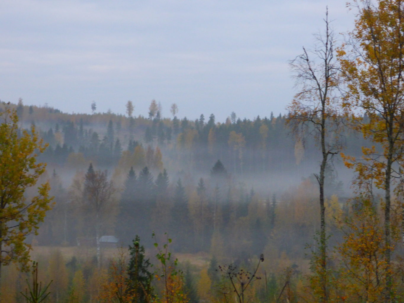 Valokuvaaja: Hannu Rissanen Valokuvaaja: Hannu Rissanen