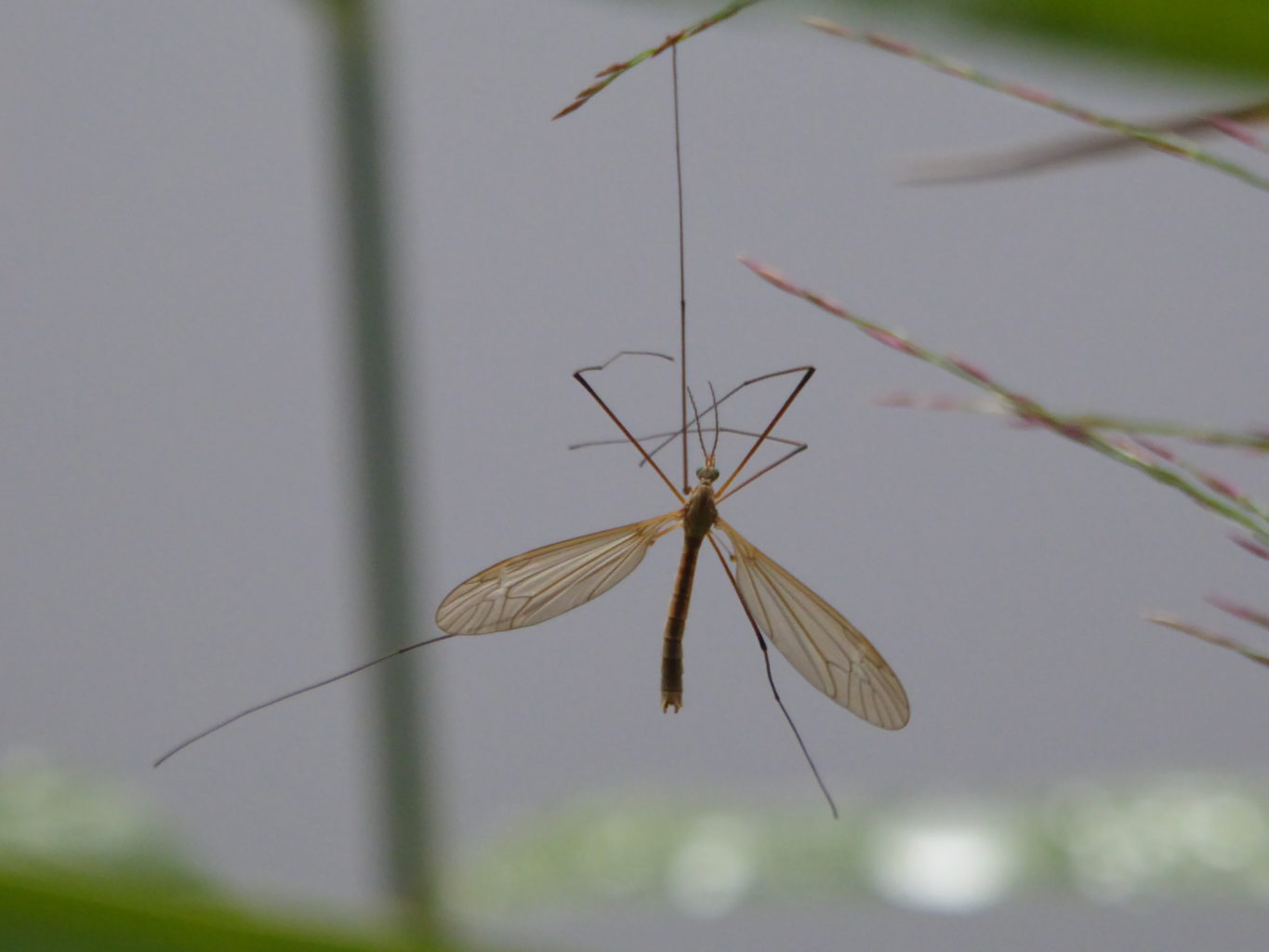 Valokuvaaja: Eija Autio