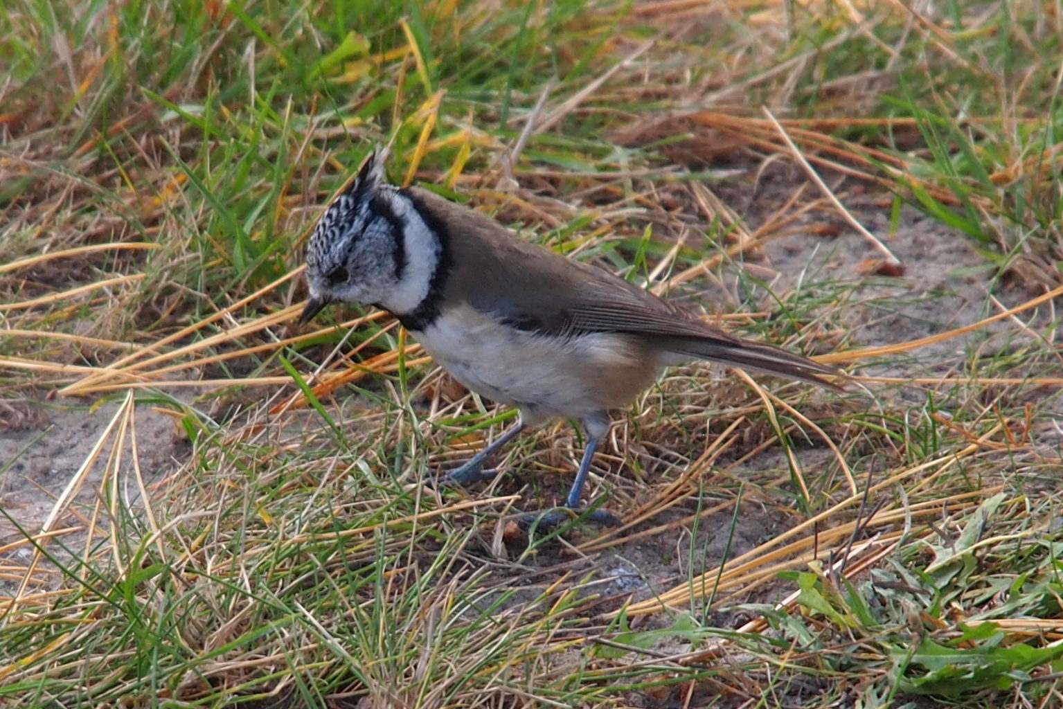 Valokuvaaja: Mervi Latvala