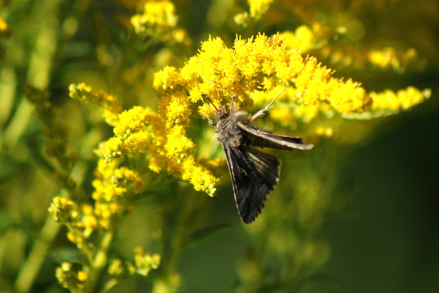 Valokuvaaja: Toni Asikainen