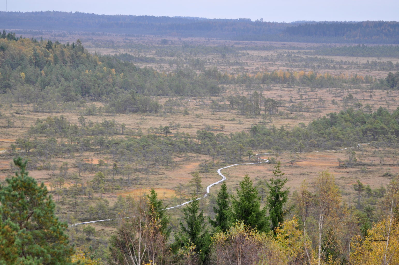 Valokuvaaja: Timo Kakko-Quednau