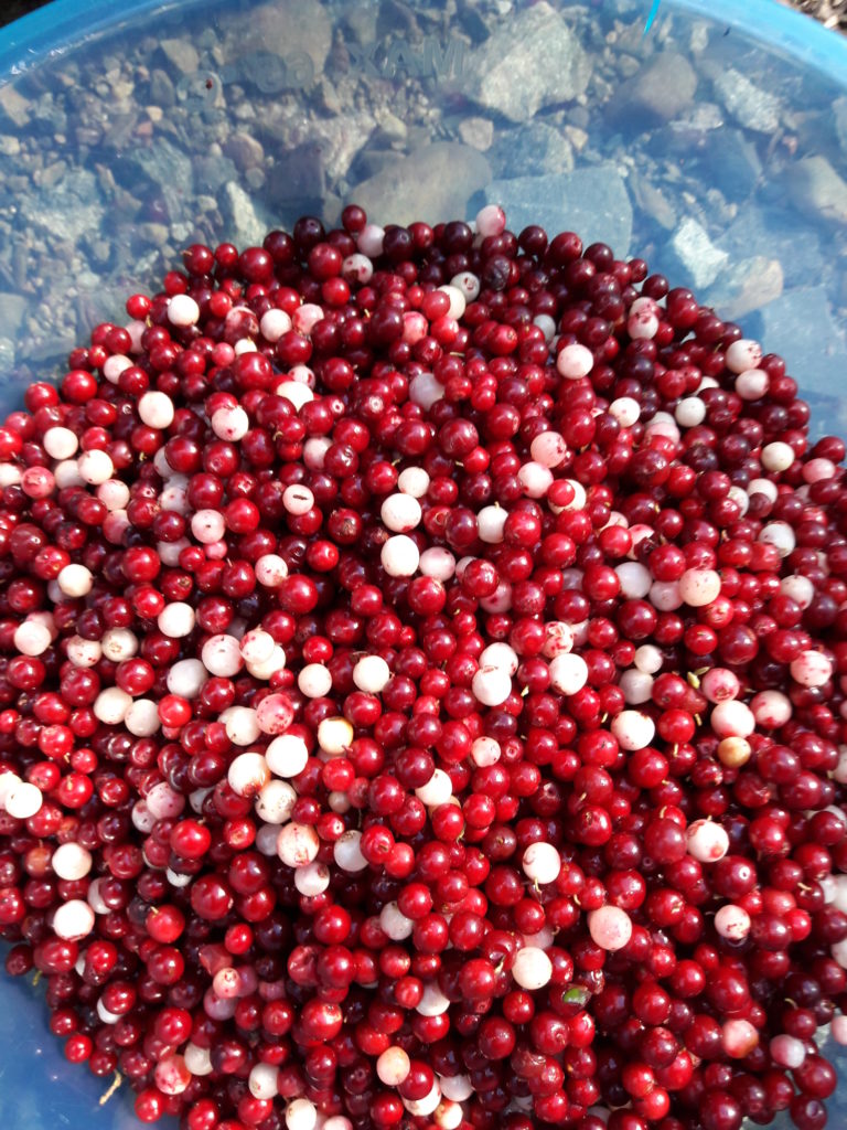 Valokuvaaja: Anitta Söder