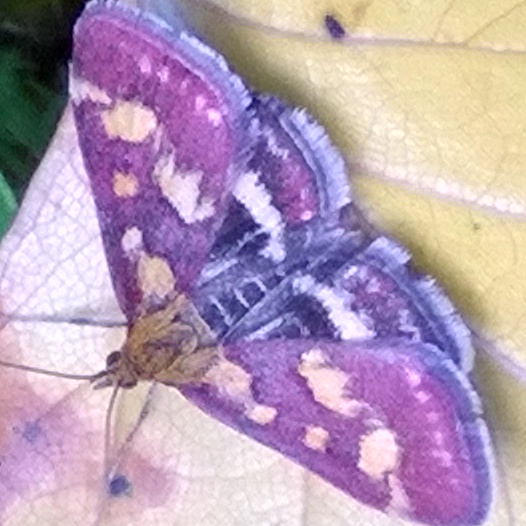 Valokuvaaja: Eija Johanna Saastamoinen