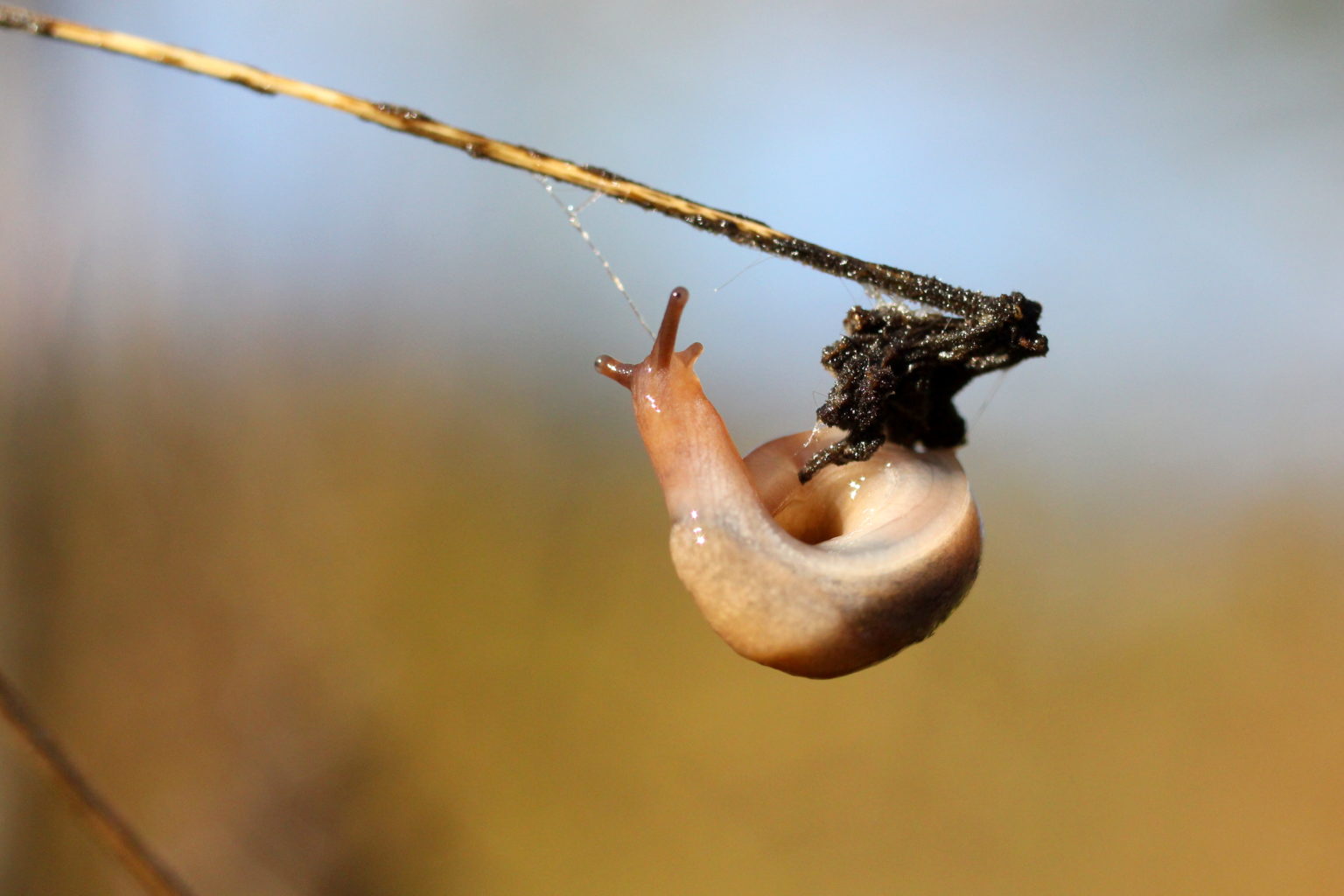 Valokuvaaja: Kalle Asikainen