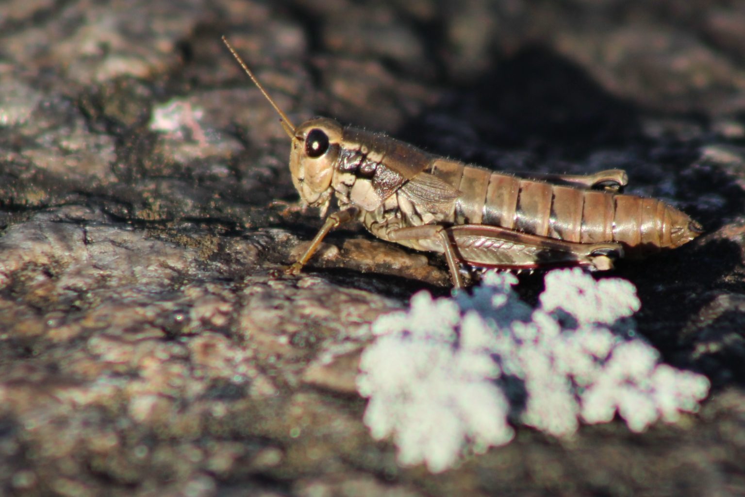Valokuvaaja: Päivi Salonen