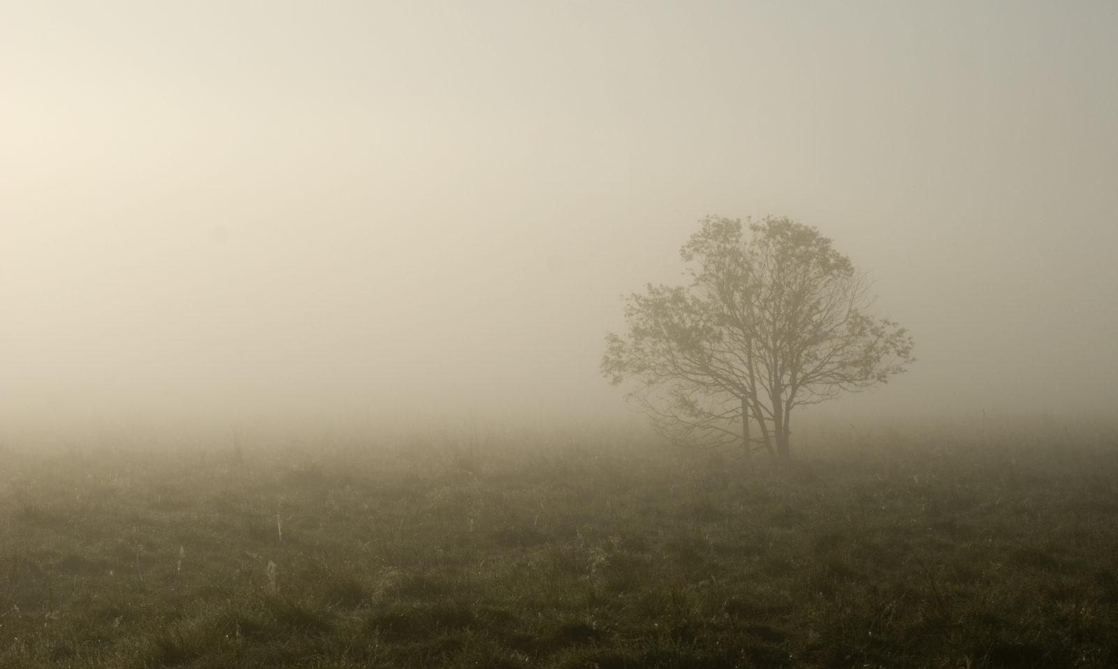 Valokuvaaja: Tuomo Pynnönen