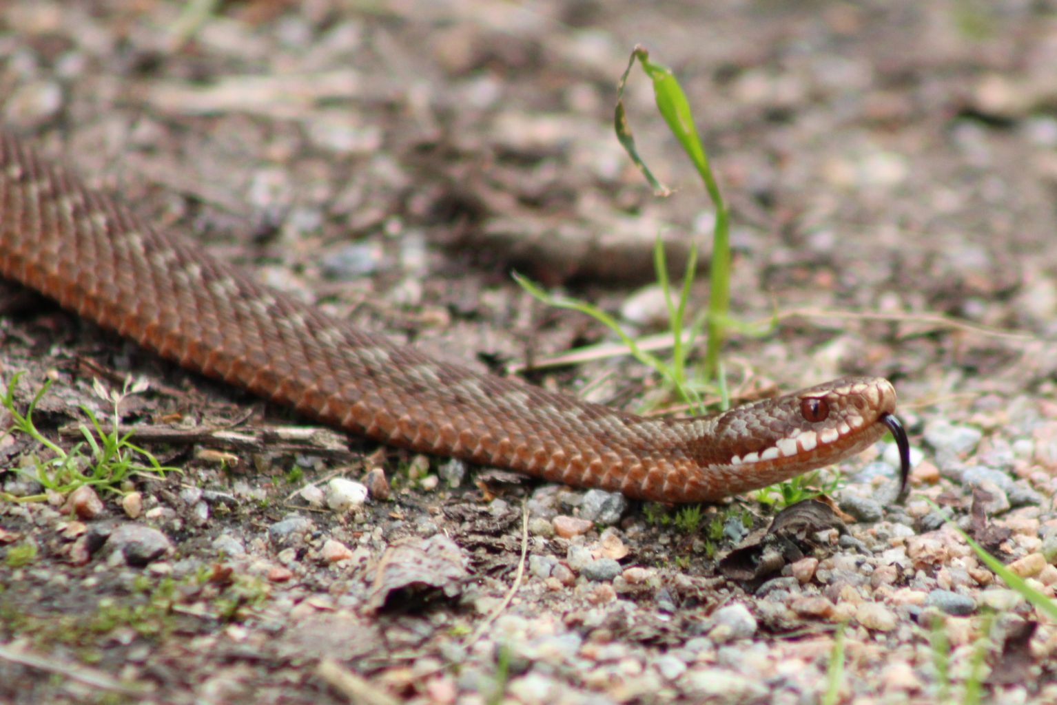 Valokuvaaja: Päivi Salonen