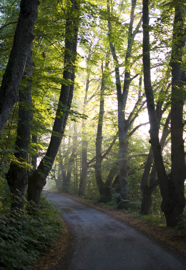 Valokuvaaja: Tuomo Pynnönen