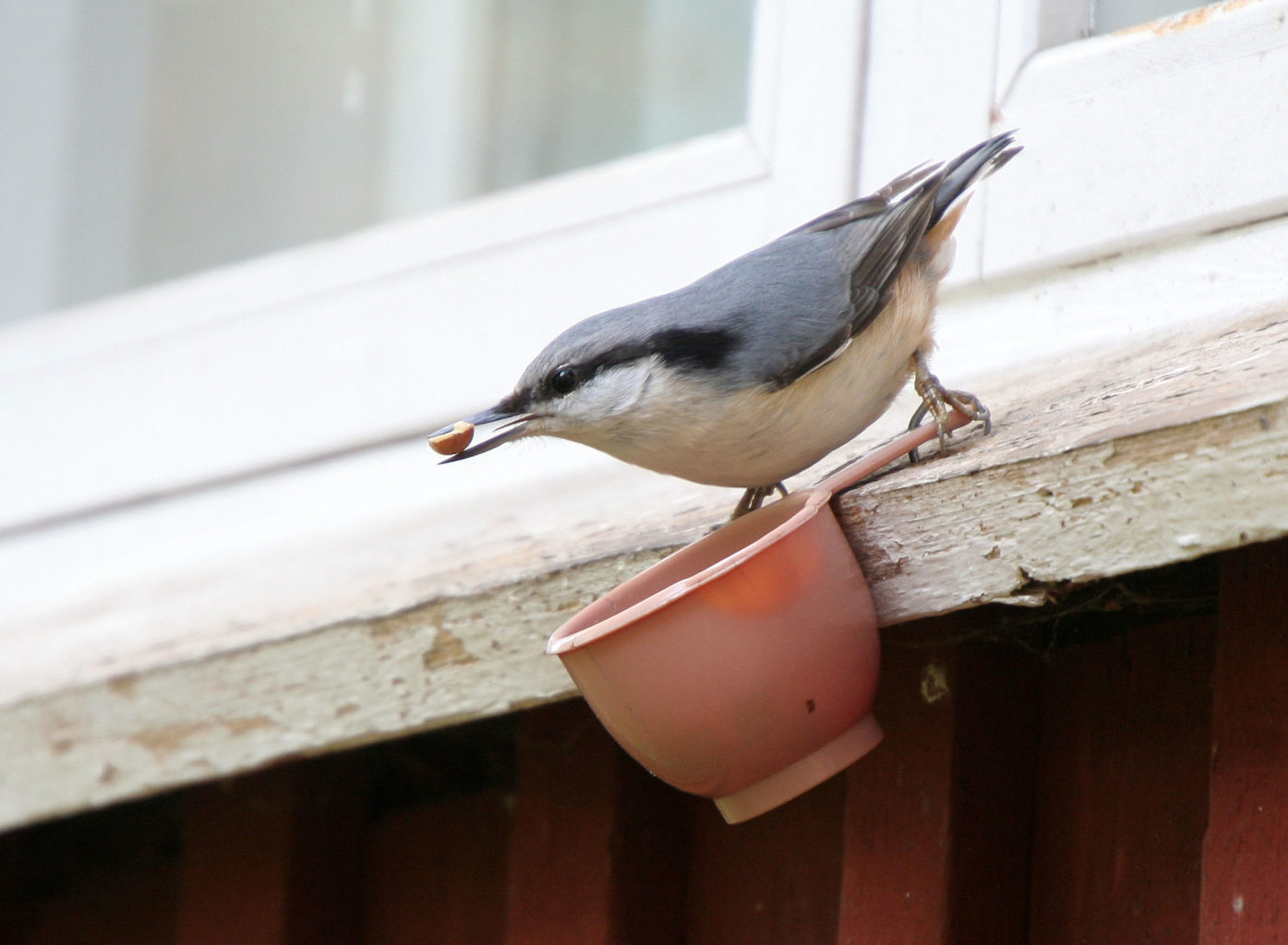 Valokuvaaja: Helena Rönkä