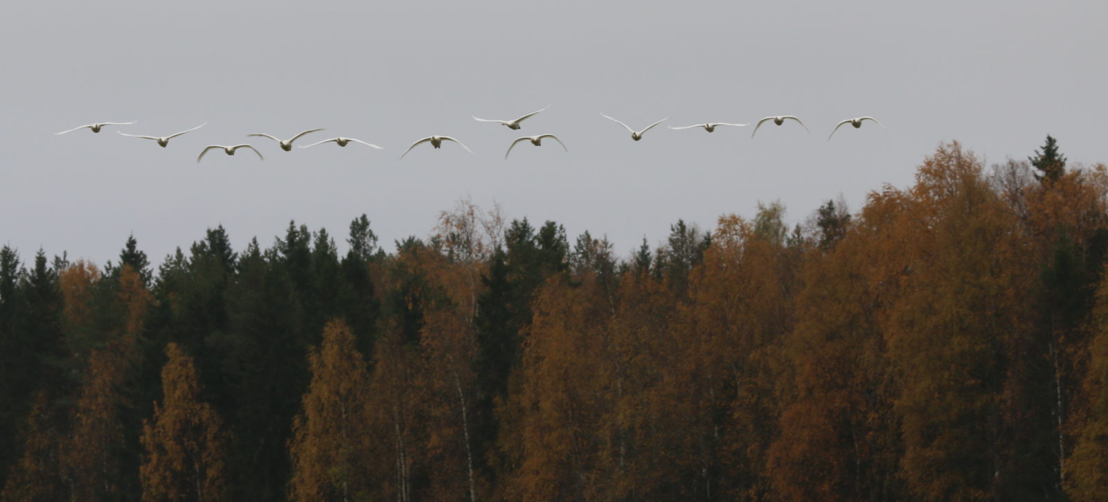 Valokuvaaja: Ahti Keränen