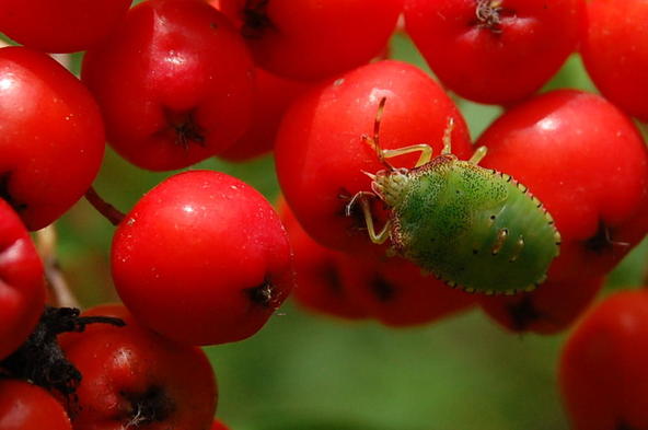 Valokuvaaja: Eija Varjola Valokuvaaja: Eija Varjola
