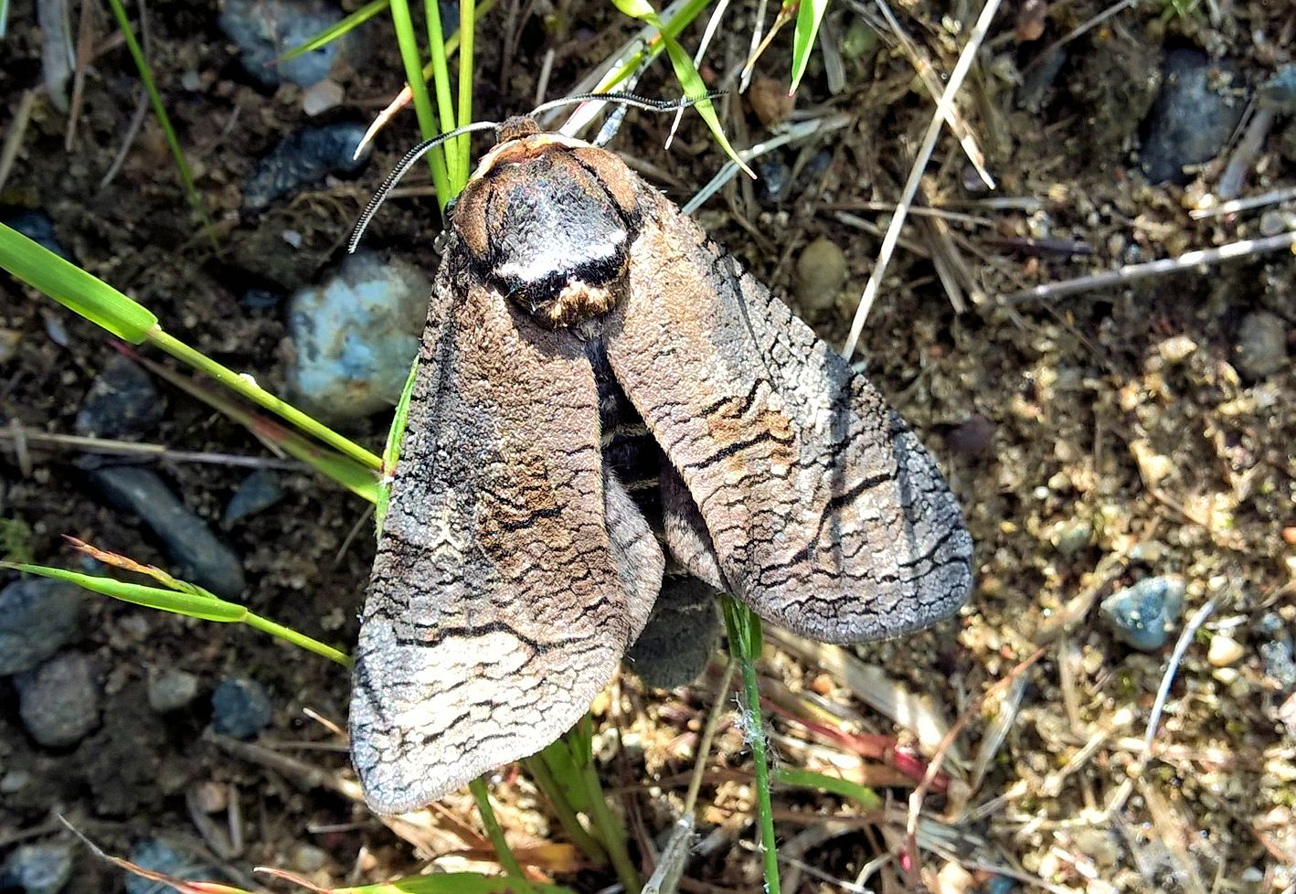 Valokuvaaja: Margit Vekkeli