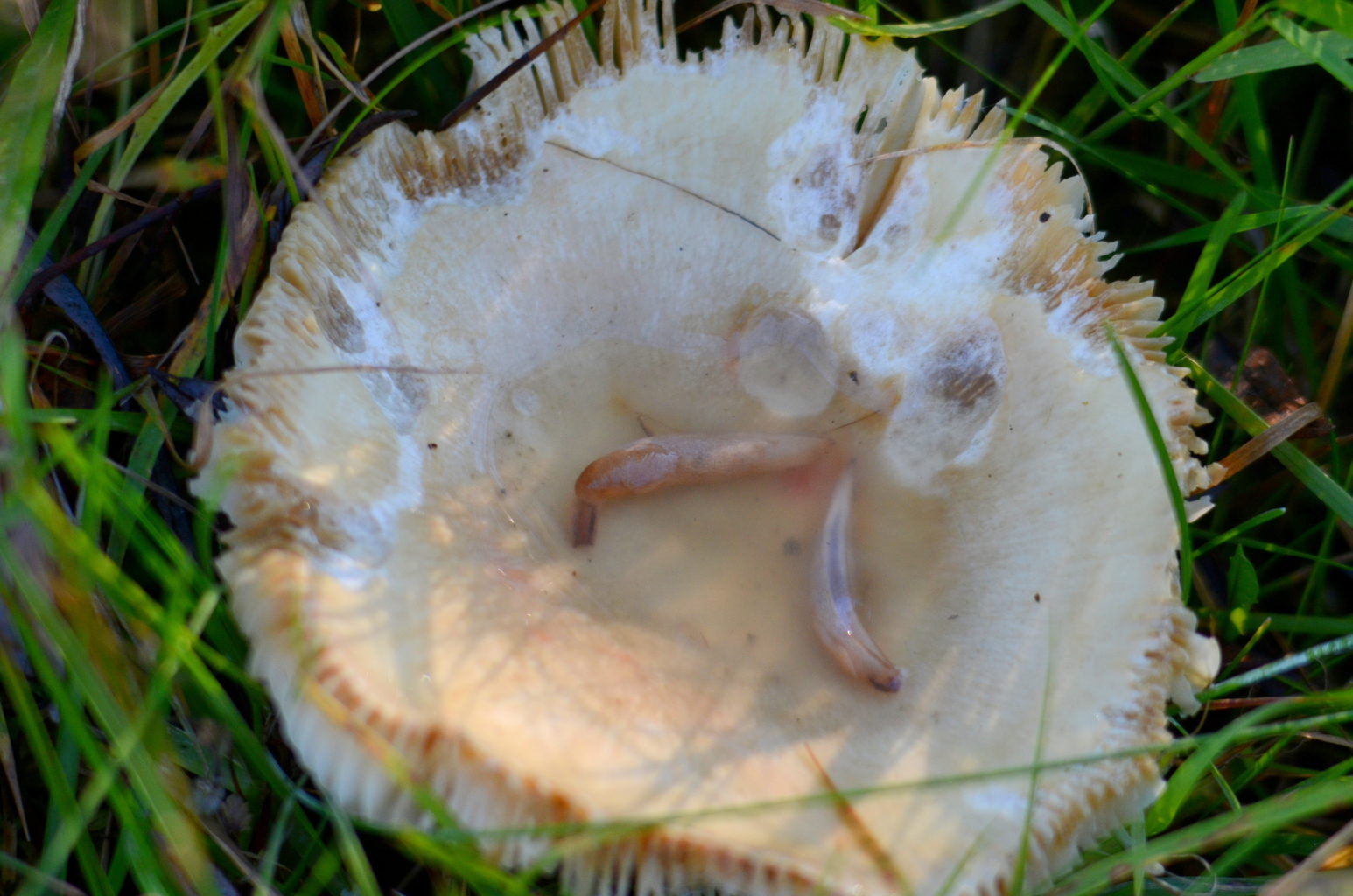 Valokuvaaja: Kalle Asikainen