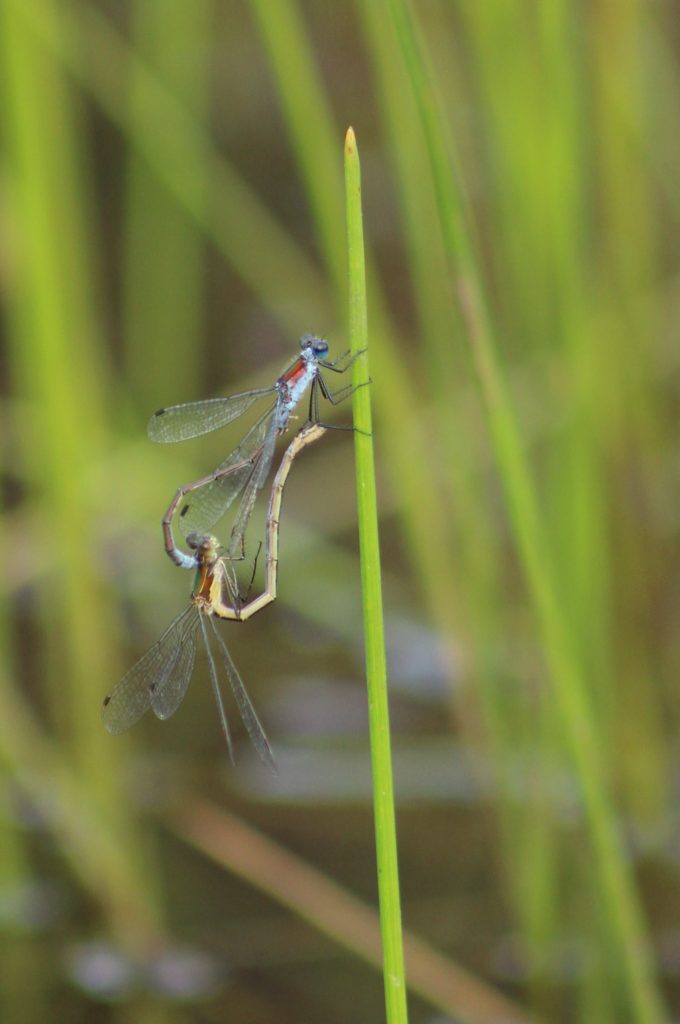 Valokuvaaja: Päivi Salonen Valokuvaaja: Päivi Salonen