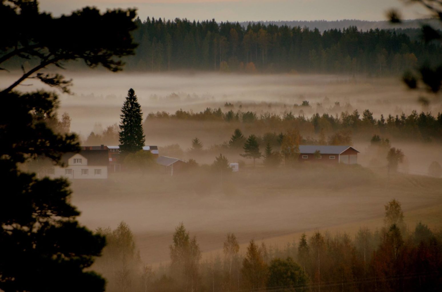 Valokuvaaja: Eija Varjola