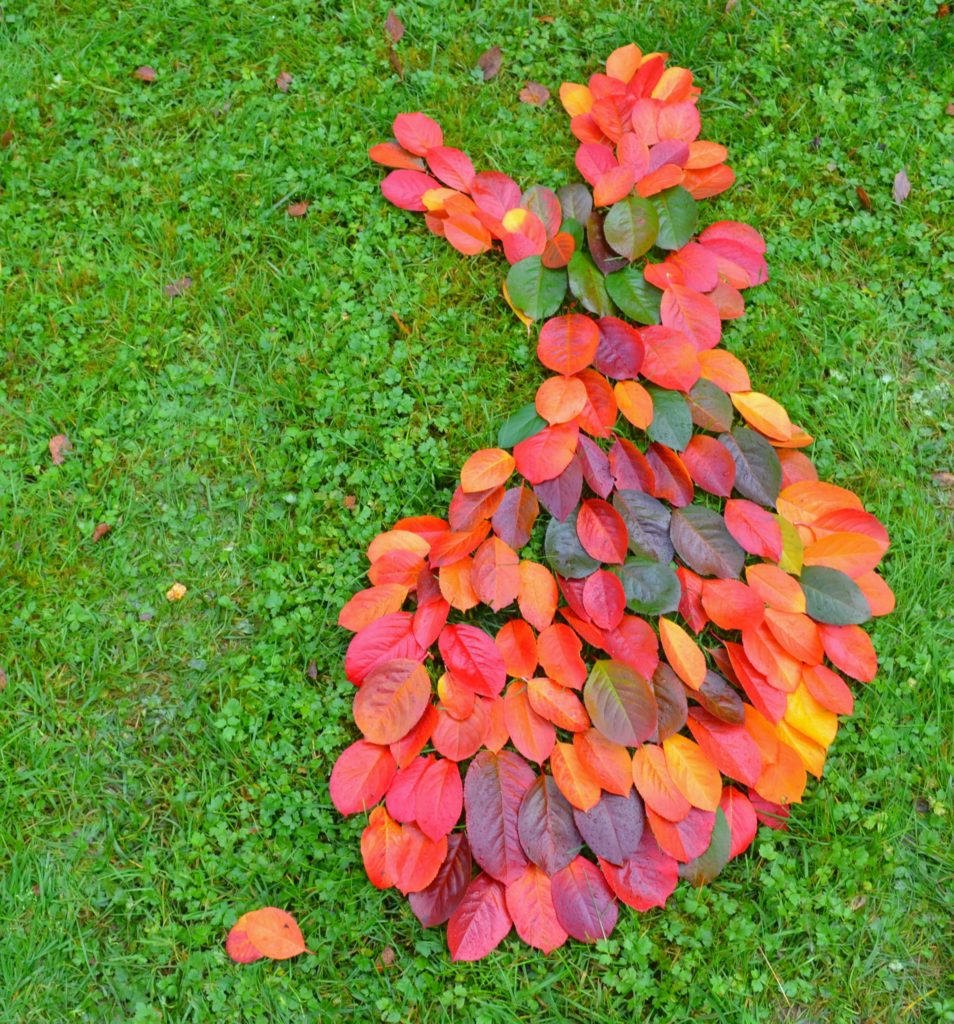 Valokuvaaja: Leena Rissanen