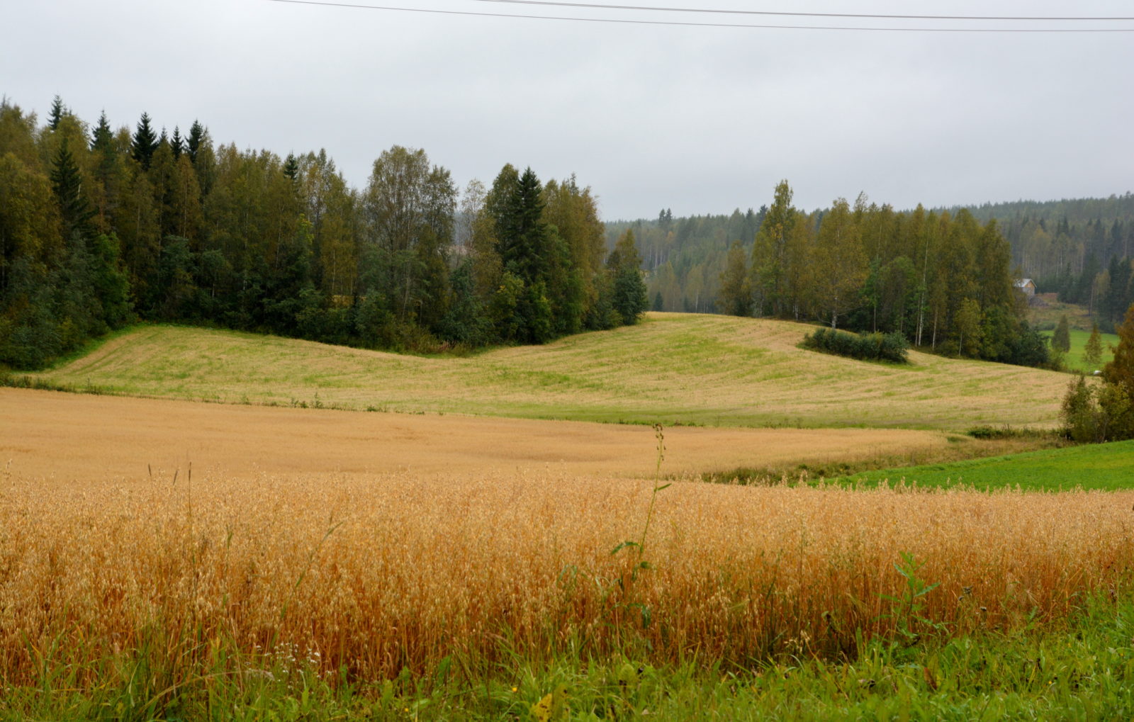 Valokuvaaja: MIKKO T.  SAVOLAINEN