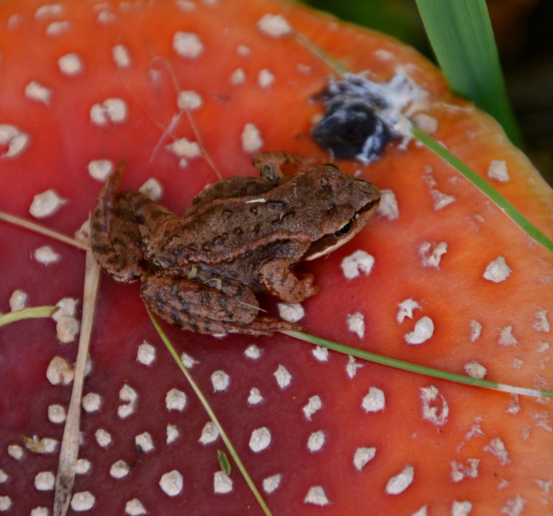 Valokuvaaja: MIKKO T.  SAVOLAINEN Valokuvaaja: MIKKO T.  SAVOLAINEN