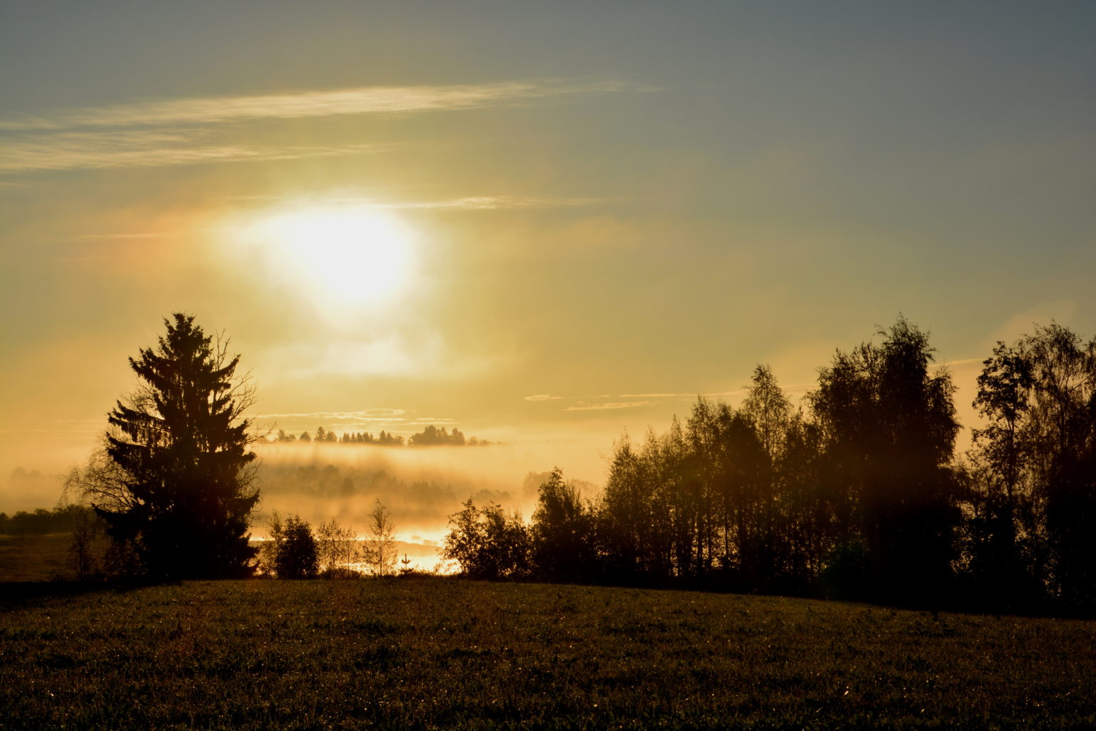 Valokuvaaja: MIKKO T.  SAVOLAINEN