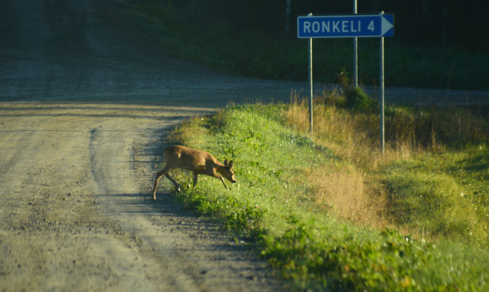 Valokuvaaja: MIKKO T.  SAVOLAINEN